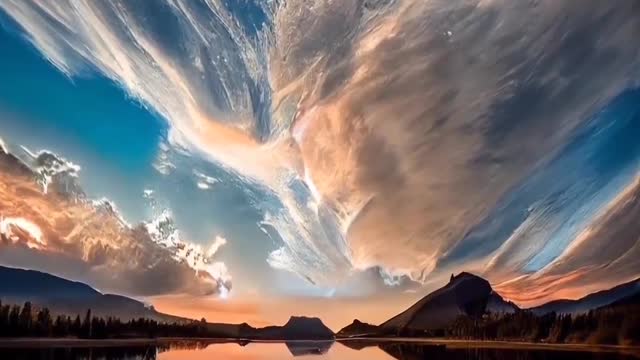 Amazing Nature