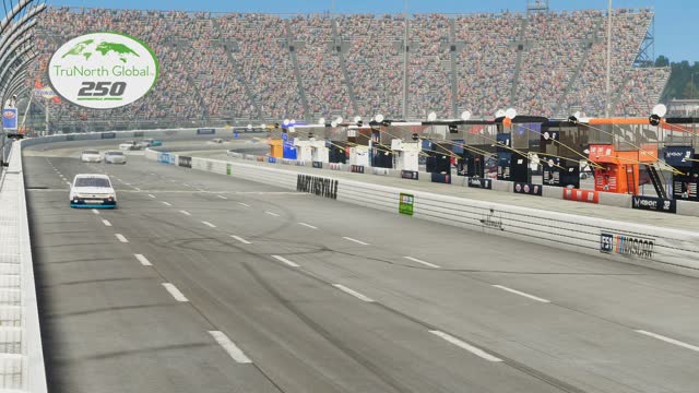 Nascar Heat5 Race490