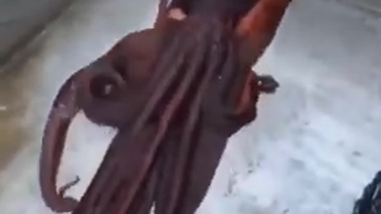 Where there is a will there is a way #shorts #viral #shortsvideo #video