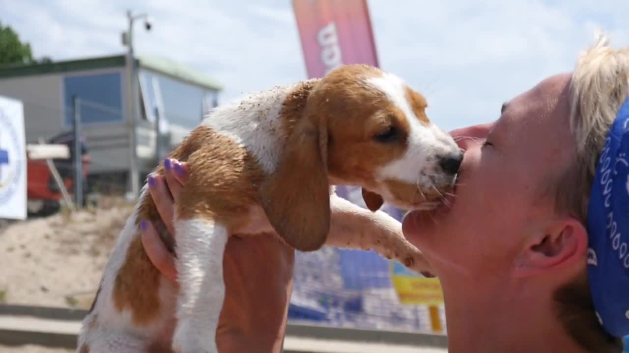 Woman kiss a Dog with Love on a Beach Sunny Day