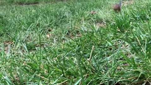 Follow our Instagram for a chance to get a special birthday or shoutout video, Fill the cheeks