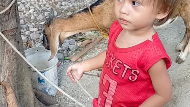 2 year old Baby wants to feed the goat but look !