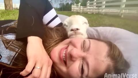 Funniest Animal Videos 2023😅 Best Funny Cats & Dogs Videos🥰 v4
