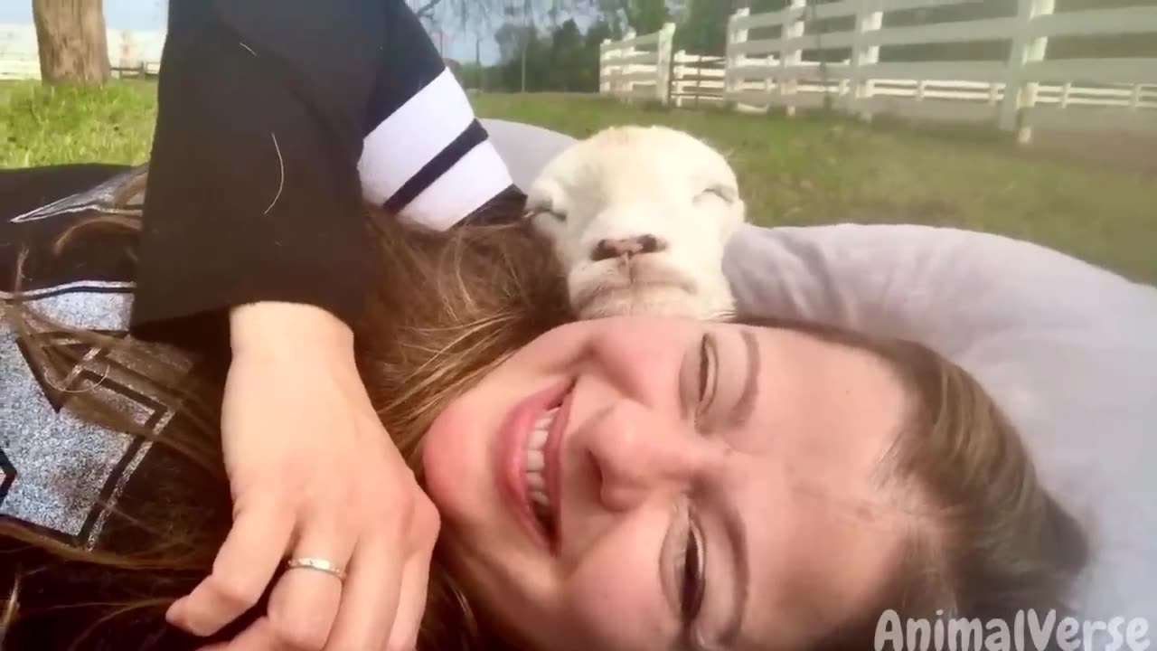 Funniest Animal Videos 2023😅 Best Funny Cats & Dogs Videos🥰 v4
