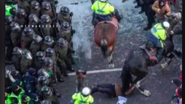 Canadian police leaked screenshot group chat messages laughing at old lady dying by horse