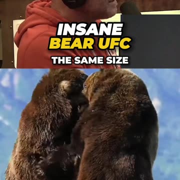 Most BRUTAL Bear Fight Ever Recorded ft. Joe Rogan