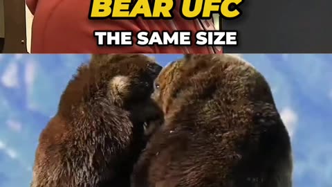 Most BRUTAL Bear Fight Ever Recorded ft. Joe Rogan