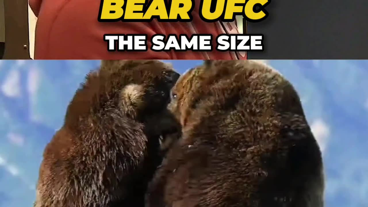 Most BRUTAL Bear Fight Ever Recorded ft. Joe Rogan