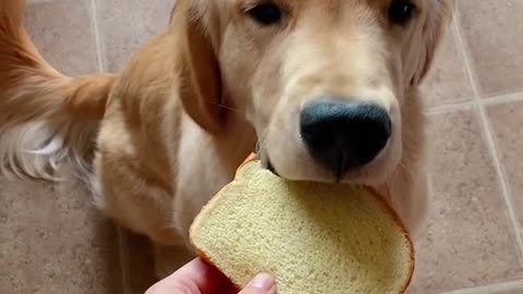 POV: You share a bite ofyour food