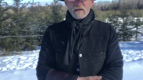 True Canadian Cowboy: How Many Of You Have Been To A FeedLot🐮