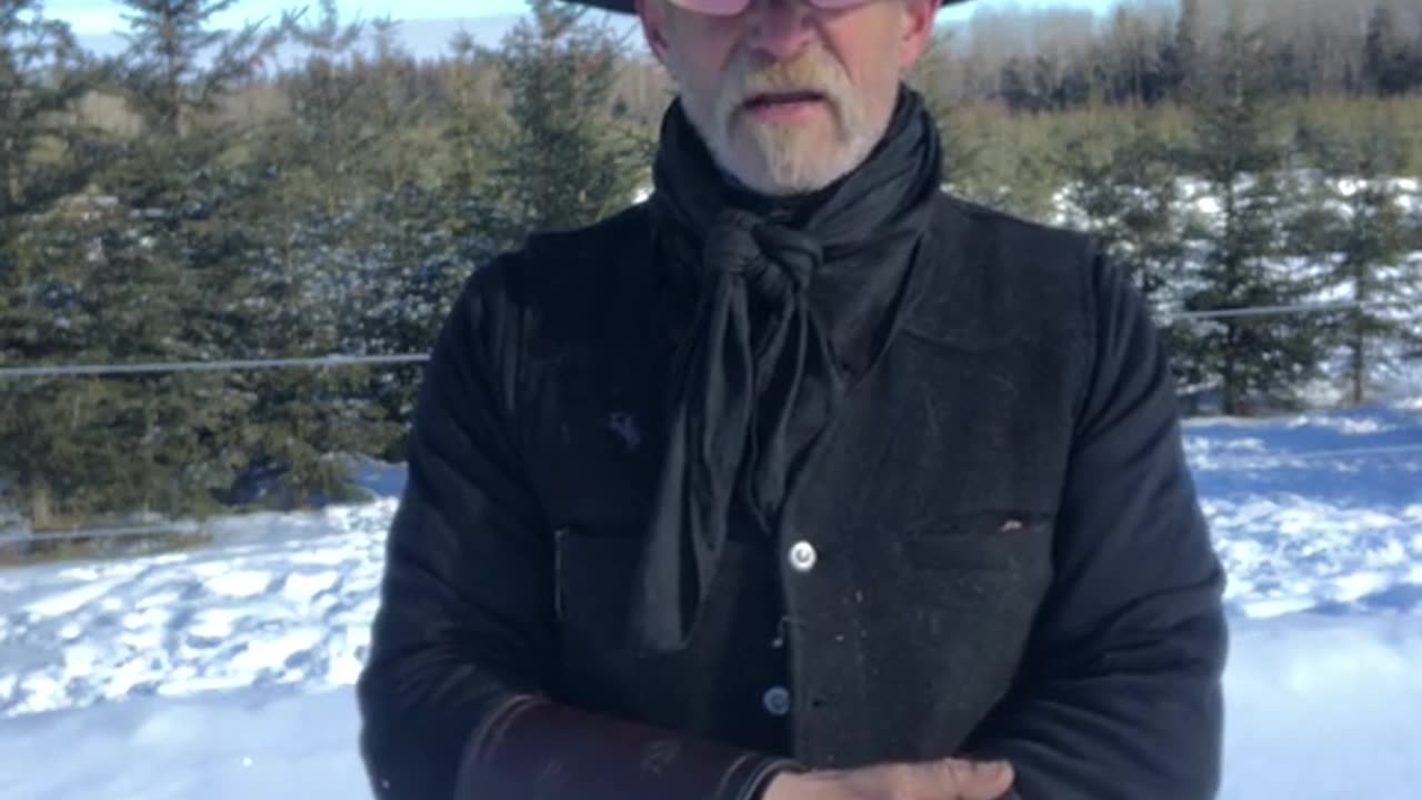 True Canadian Cowboy: How Many Of You Have Been To A FeedLot🐮