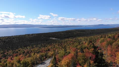 Autumn Leaves, Ocean Breeze - Gaspé, Quebec, Canada - 4K