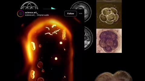 CYMATICS AND SACRED GEOMETRY