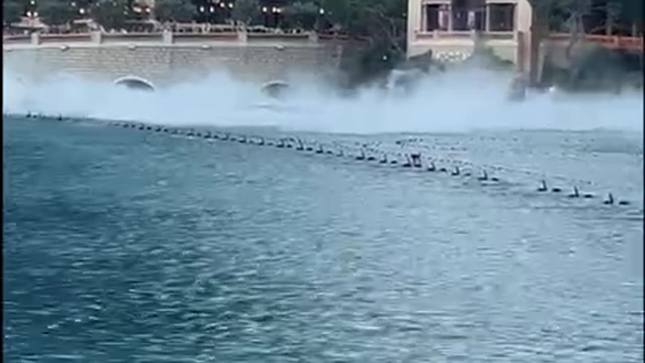 The water Show in Las Vegas