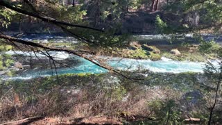 Overlooking Gorgeous Metolius River – Central Oregon