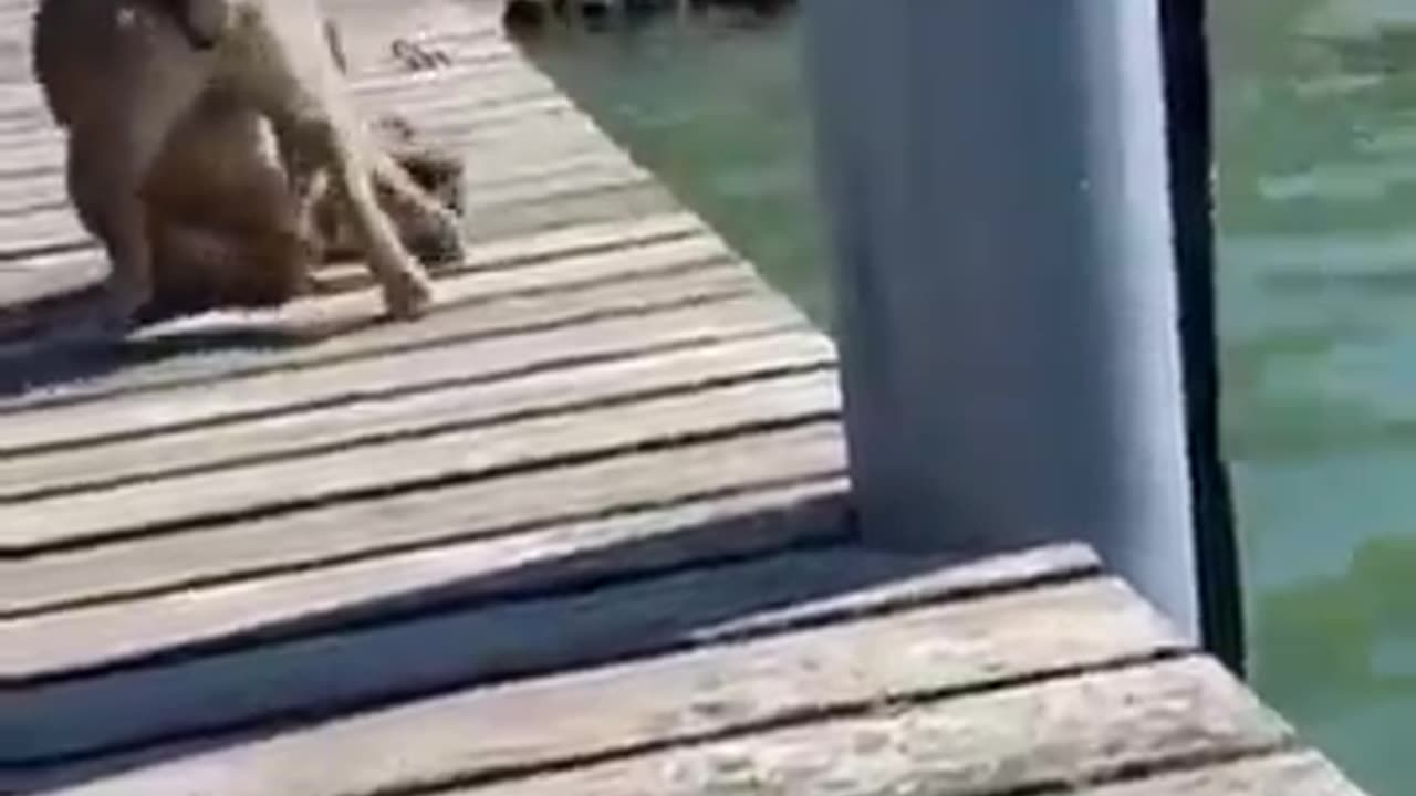 Funny People Video Compilation, Funny Fails, Funny Videos