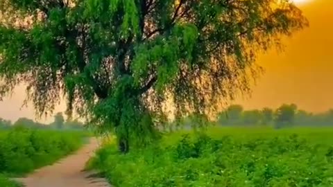 Beautiful village video