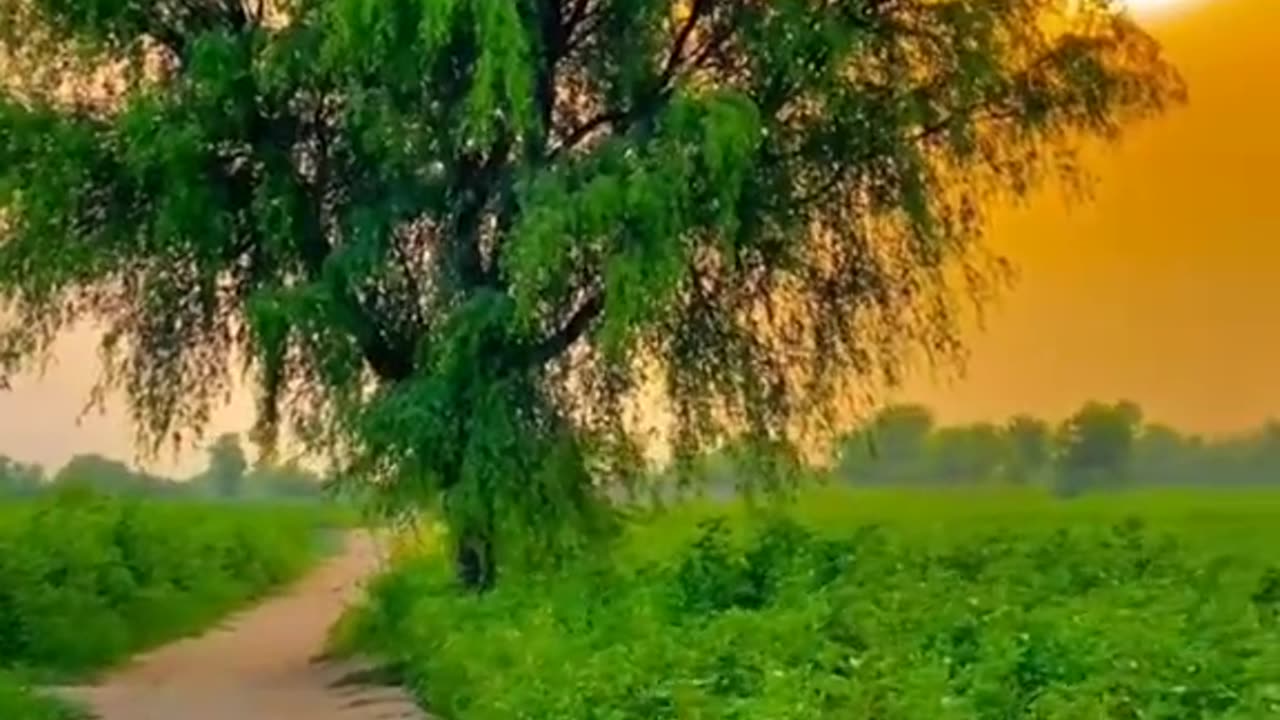 Beautiful village video