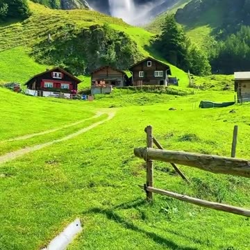 Chicks eating food and a Beautiful place with a beautiful view of waterfall