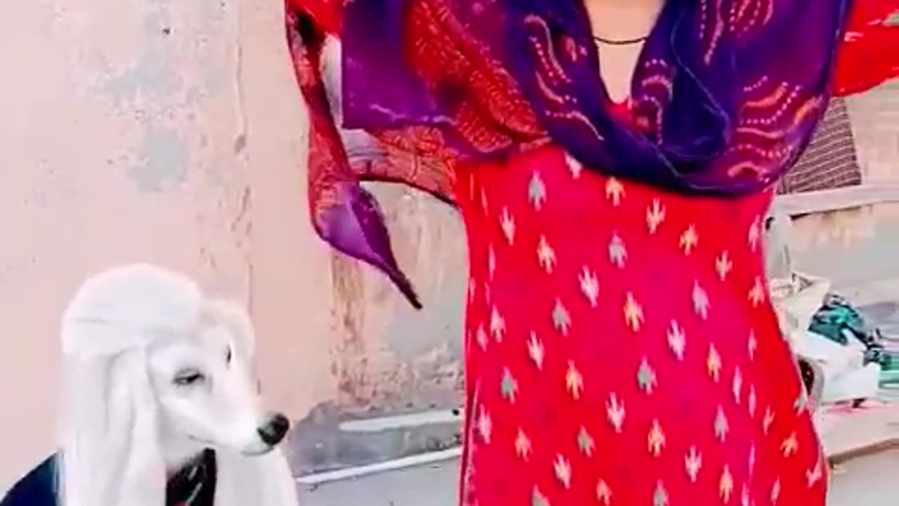 Funny Dog prank 2😃just for fun🤣