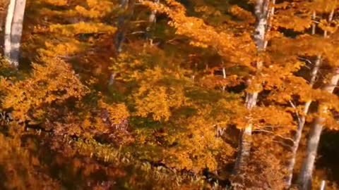 Fall is here, are you?