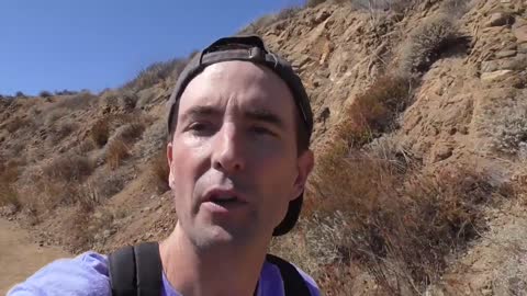 547. Why Did a Man Have to Die?