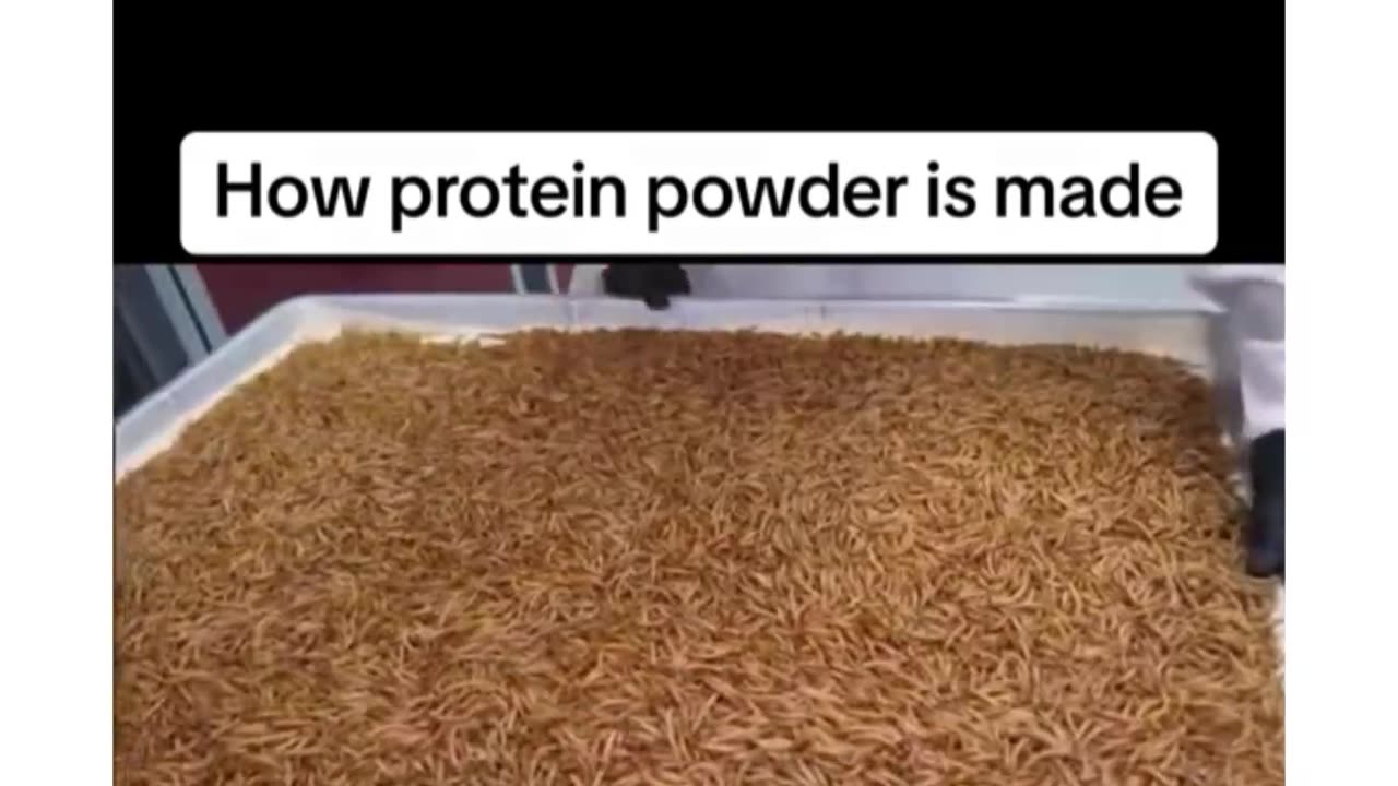 How protein powder is made works