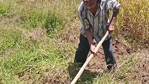 The ggreatest farmer in our village