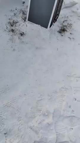 W Krasnojarskim parku wynaleziono tymczasem fenomenalny sposób na psie gówna.