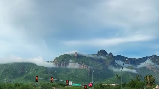 When Arizona mountains turn into a rainforest