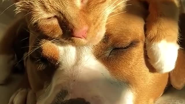 Lovely moment