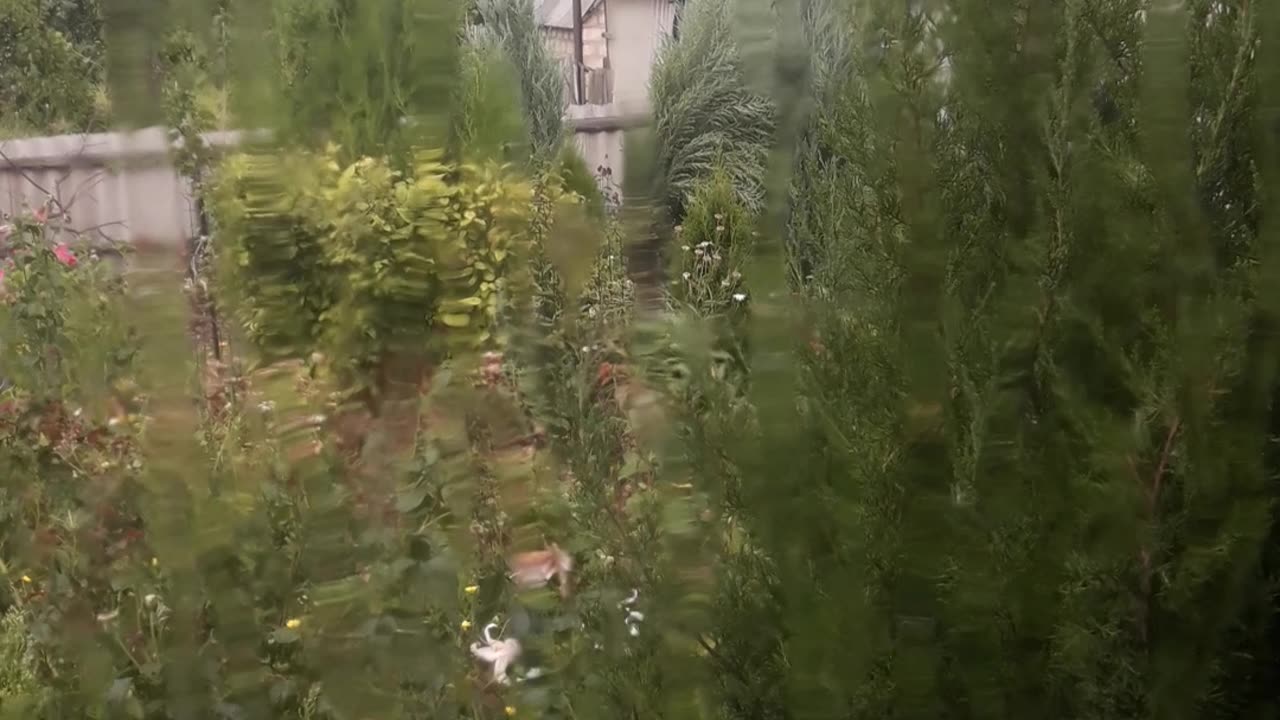 Rain outside the window