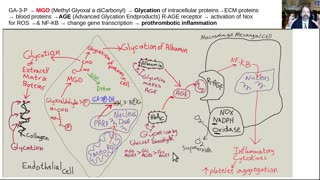 Diabetes &AGE's part 2, long lecture