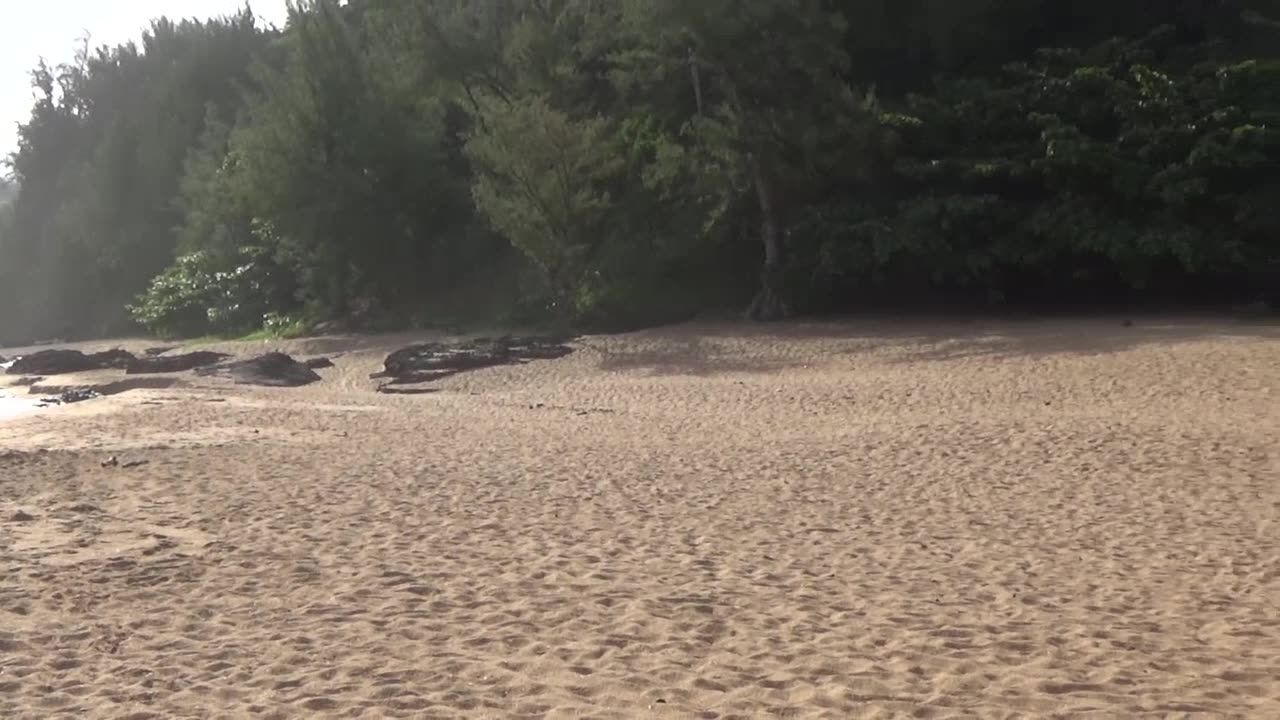 Kilauea, HI — Secret Beach (Kauapea Beach)