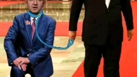 КУЧЕТО НА ДЖУДЖЕТО
