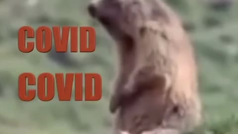 ME!! 😂😂 Credit to KLR Productions on YT and Tik Tok