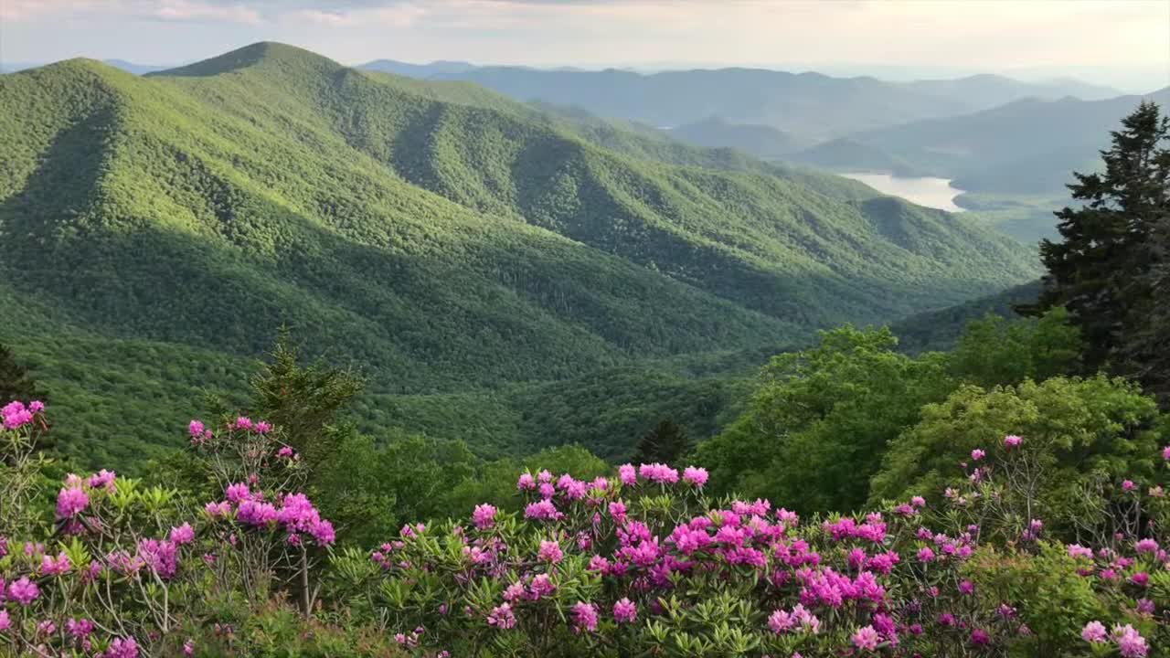 Our American Dream -- An Inspirational Tour of Great American Scenery