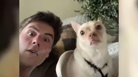 FUNNY CATS VIDEO PART 3