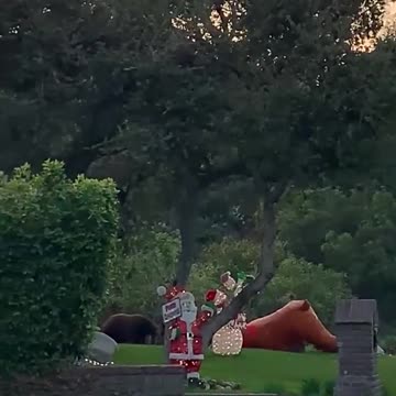 How to remove your outdoor Christmas decoration.