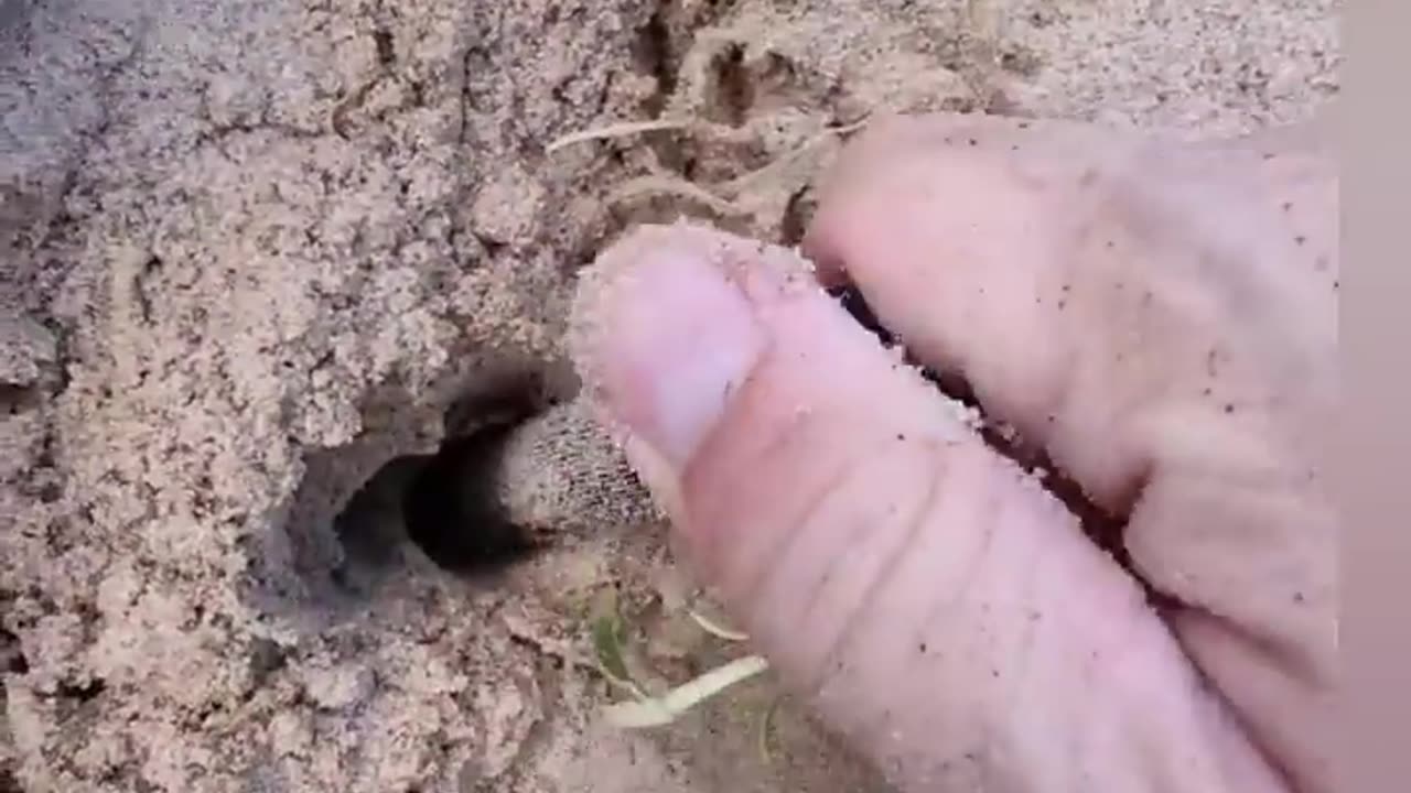 100+ years this strange thing has been waiting for me underground