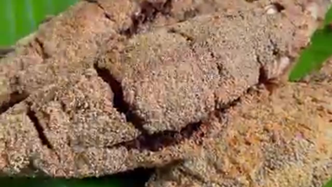 Fish Rava Fry Asmr Cooking