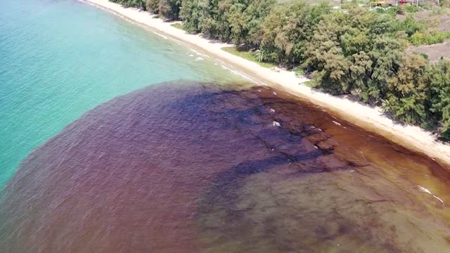 Thai beach declared disaster area after oil spill