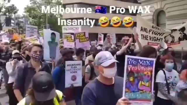 Pro vaccine protest by race baiting liberals and antifa!