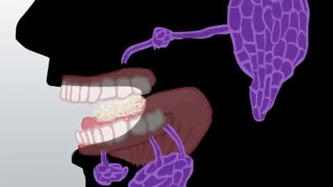 Digestive System | How The Digestive System Works | Animated Music Video |