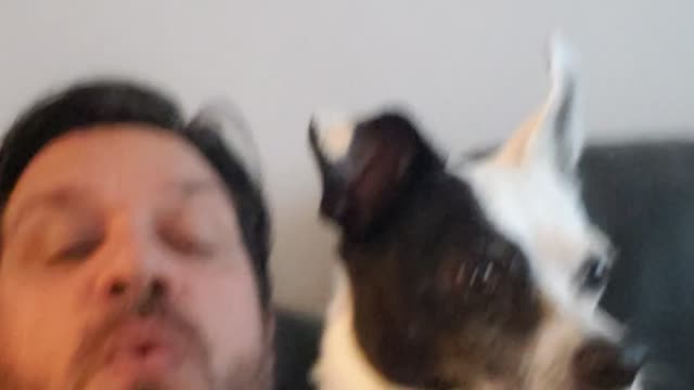 My Singing Chi