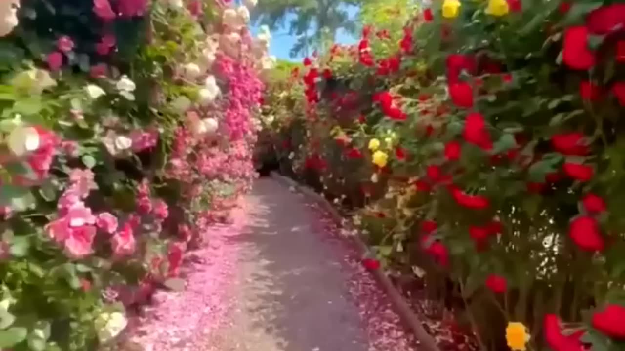 flowers are life