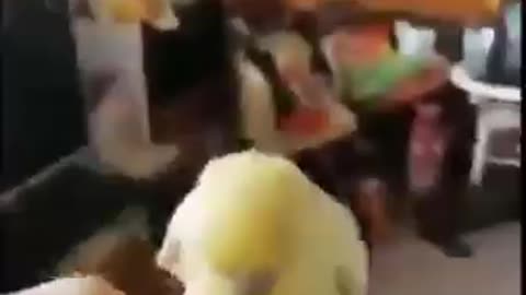 O Dom da VIDA