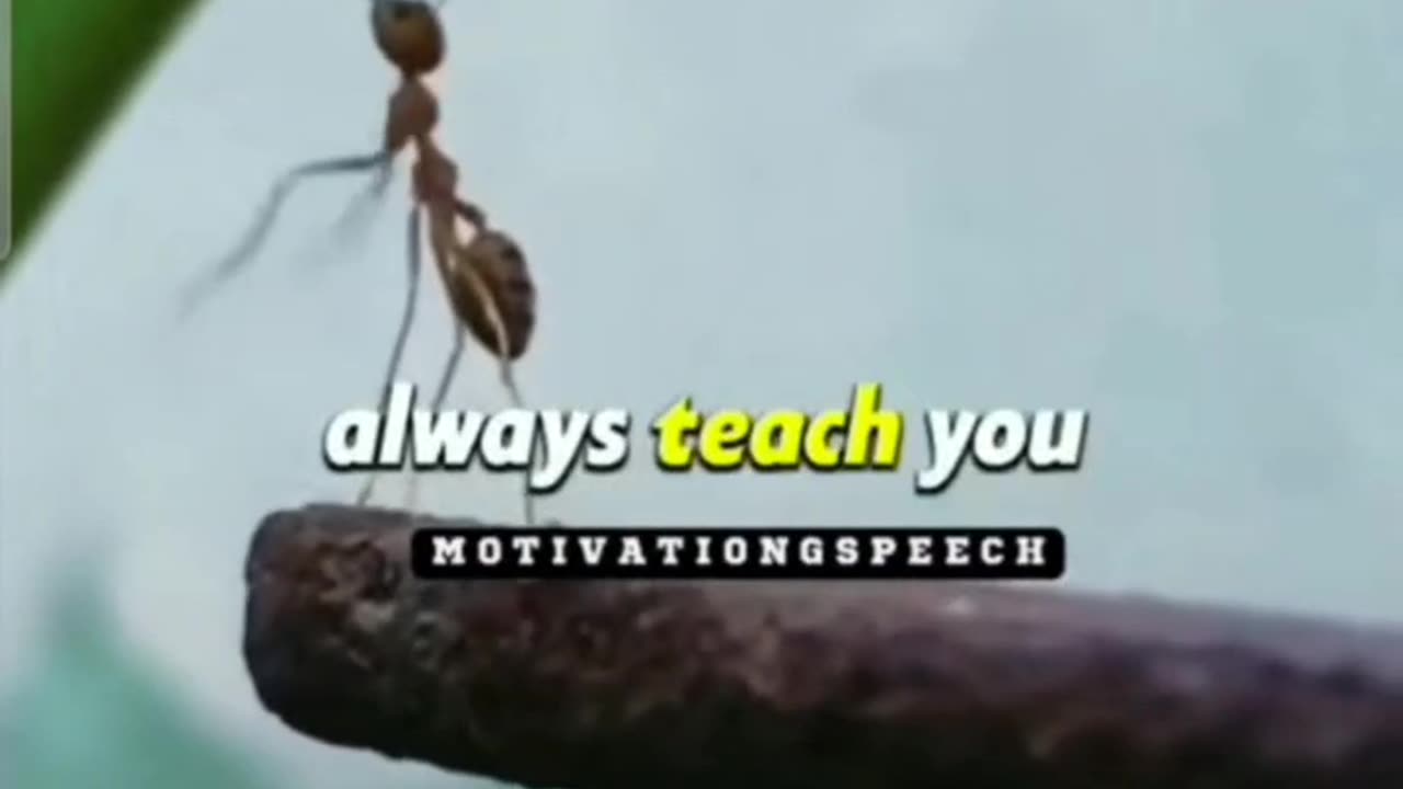 Attitude Quotes Status Motivational video Inspirational Quotes