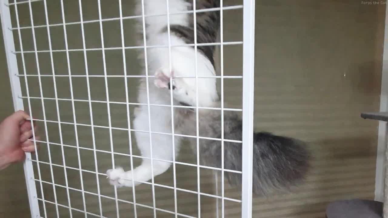 I don't know why you went up, but now I can touch your belly