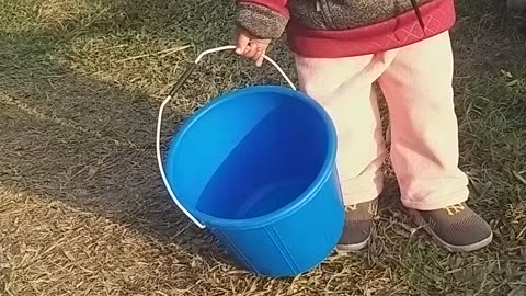 Little baby going to milk the cow